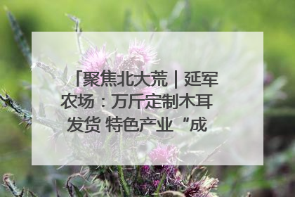 聚焦北大荒｜延军农场：万斤定制木耳发货 特色产业“成绩单”亮眼