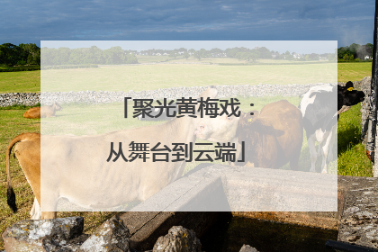 聚光黄梅戏：从舞台到云端