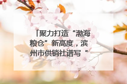 聚力打造“渤海粮仓”新高度，滨州市供销社谱写“三夏”丰收乐章