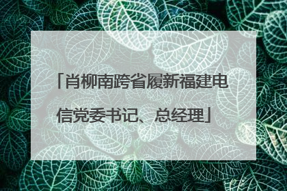 肖柳南跨省履新福建电信党委书记、总经理