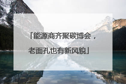 能源商齐聚碳博会，老面孔也有新风貌