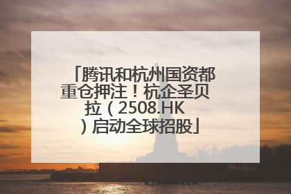 腾讯和杭州国资都重仓押注！杭企圣贝拉（2508.HK）启动全球招股