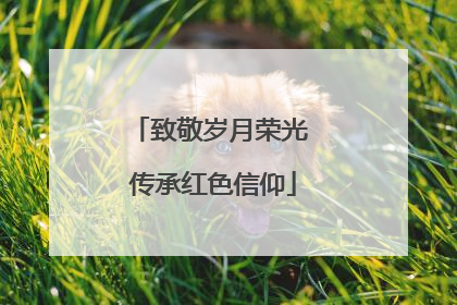 致敬岁月荣光 传承红色信仰