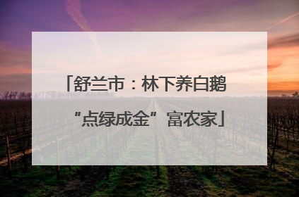 舒兰市：林下养白鹅 “点绿成金”富农家