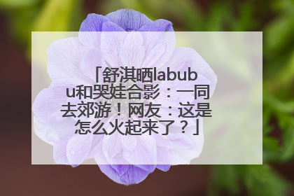 舒淇晒labubu和哭娃合影：一同去郊游！网友：这是怎么火起来了？