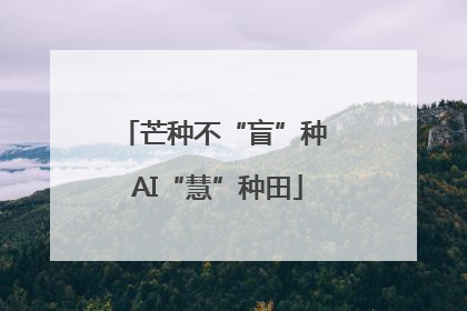 芒种不“盲”种 AI“慧”种田