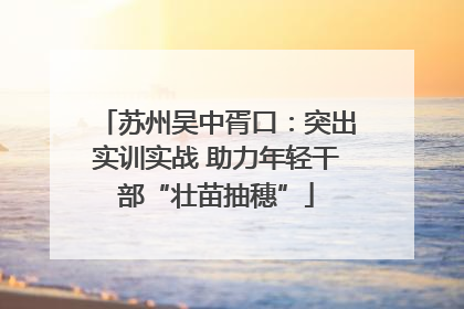 苏州吴中胥口：突出实训实战 助力年轻干部“壮苗抽穗”