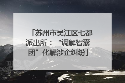 苏州市吴江区七都派出所：“调解智囊团”化解涉企纠纷