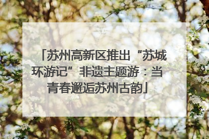 苏州高新区推出“苏城环游记”非遗主题游：当青春邂逅苏州古韵