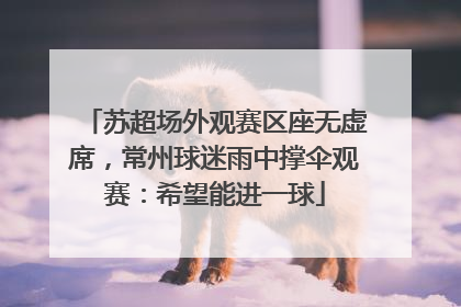 苏超场外观赛区座无虚席，常州球迷雨中撑伞观赛：希望能进一球