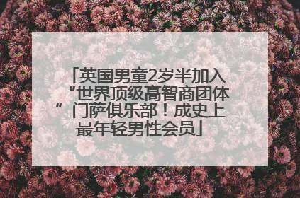 英国男童2岁半加入“世界顶级高智商团体”门萨俱乐部！成史上最年轻男性会员