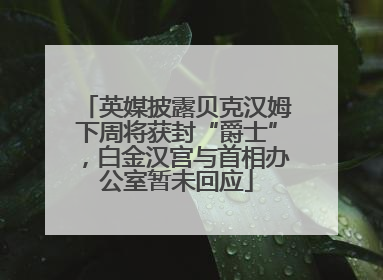 英媒披露贝克汉姆下周将获封“爵士”，白金汉宫与首相办公室暂未回应