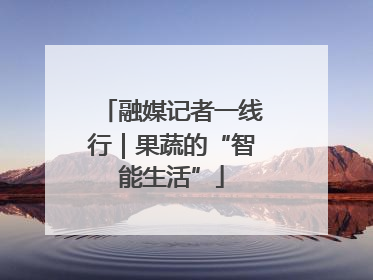 融媒记者一线行｜果蔬的“智能生活”