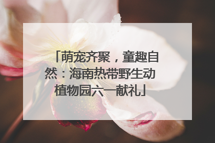 萌宠齐聚，童趣自然：海南热带野生动植物园六一献礼