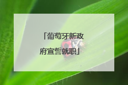 葡萄牙新政府宣誓就职
