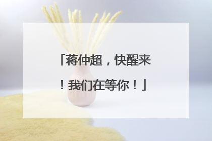 蒋仲超，快醒来！我们在等你！