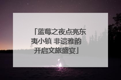 蓝莓之夜点亮东夷小镇 非遗雅韵开启文旅盛宴