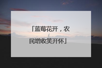 蓝莓花开，农民增收笑开怀