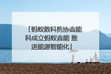 蚂蚁数科携协鑫能科成立蚂蚁鑫能 推进能源智能化