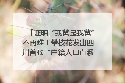 证明“我爸是我爸”不再难！攀枝花发出四川首张“户籍人口直系亲属关系谱”
