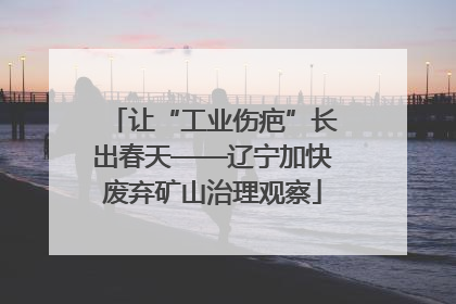 让“工业伤疤”长出春天——辽宁加快废弃矿山治理观察