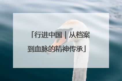 行进中国｜从档案到血脉的精神传承