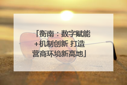 衡南：数字赋能+机制创新 打造营商环境新高地