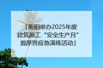 衡阳举办2025年度建筑施工“安全生产月”观摩暨应急演练活动