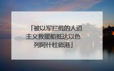 被以军拦截的人道主义救援船抵达以色列阿什杜德港
