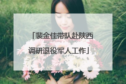 裴金佳带队赴陕西调研退役军人工作