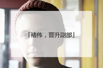 褚伟，晋升副部
