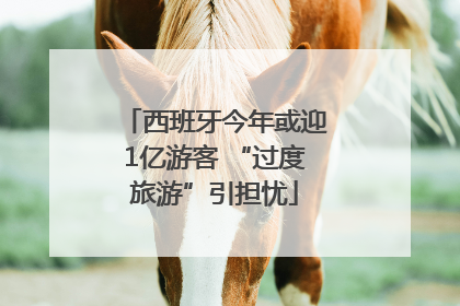 西班牙今年或迎1亿游客 “过度旅游”引担忧