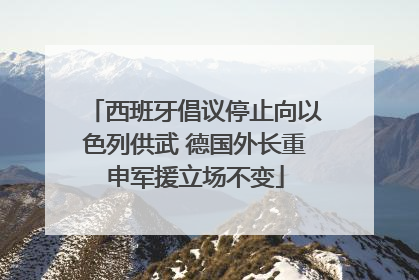 西班牙倡议停止向以色列供武 德国外长重申军援立场不变