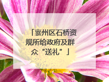 襄州区石桥资规所给政府及群众“送礼”