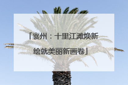 襄州：十里江滩焕新 绘就美丽新画卷