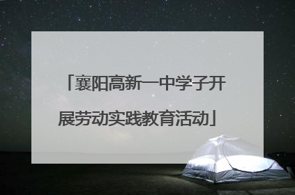 襄阳高新一中学子开展劳动实践教育活动