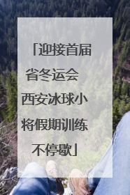 迎接首届省冬运会 西安冰球小将假期训练不停歇