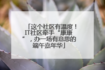 这个社区有温度！IT社区牵手“康康”，办一场有意思的端午嘉年华