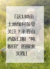 这130亩土地缘何备受关注？来看山西版口粮“吨粮田”的探索实践