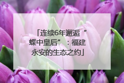 连续6年邂逅“蝶中皇后”：福建永安的生态之约