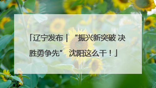 辽宁发布｜“振兴新突破 决胜勇争先” 沈阳这么干！