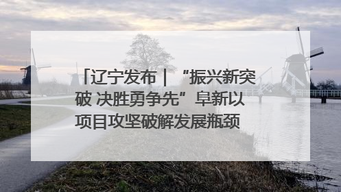 辽宁发布｜“振兴新突破 决胜勇争先”阜新以项目攻坚破解发展瓶颈 经济发展实现良好开局