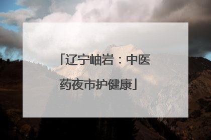 辽宁岫岩：中医药夜市护健康