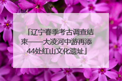 辽宁春季考古调查结束——大凌河中游再添44处红山文化遗址