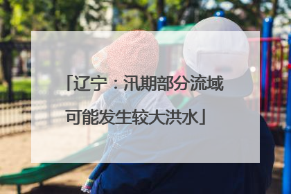 辽宁：汛期部分流域可能发生较大洪水