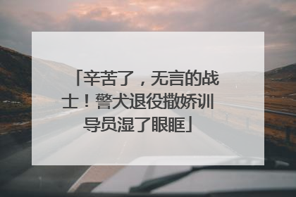 辛苦了，无言的战士！警犬退役撒娇训导员湿了眼眶