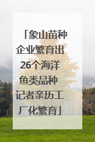 象山苗种企业繁育出26个海洋鱼类品种 记者亲历工厂化繁育