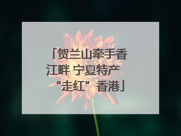 贺兰山牵手香江畔 宁夏特产“走红”香港