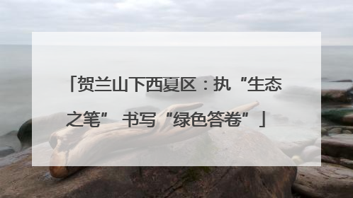 贺兰山下西夏区：执“生态之笔” 书写“绿色答卷”