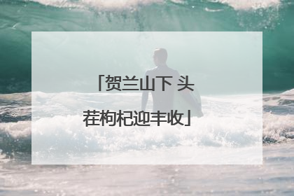 贺兰山下 头茬枸杞迎丰收
